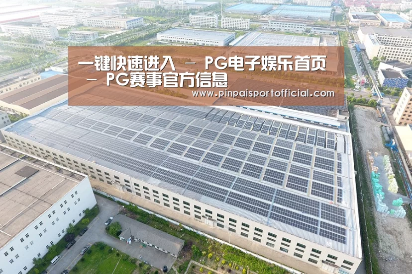 案例展示二
