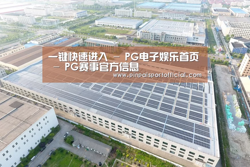 案例展示一