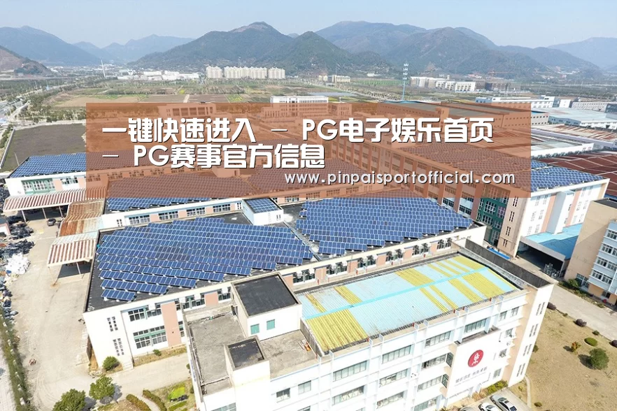 案例展示四