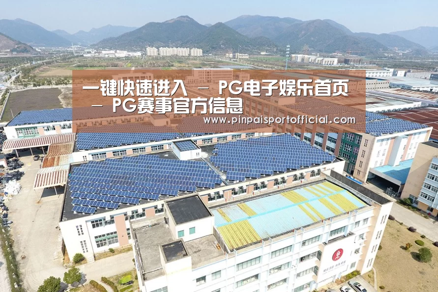 案例展示一