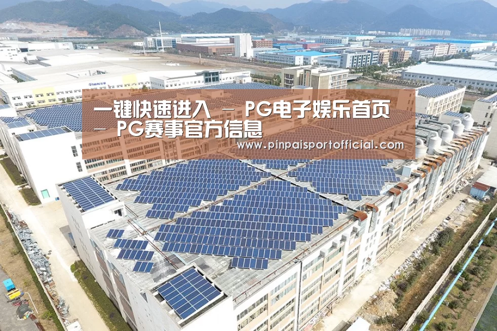 案例展示三