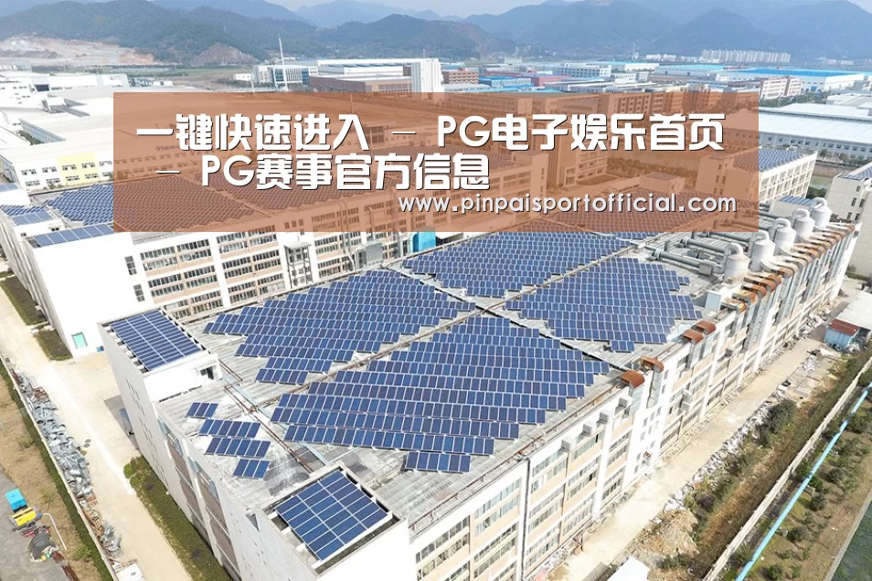 案例展示四