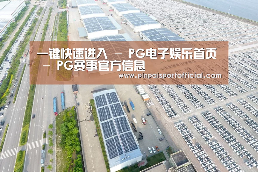案例展示一