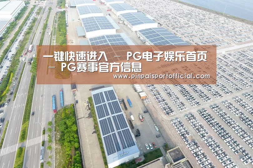案例展示四