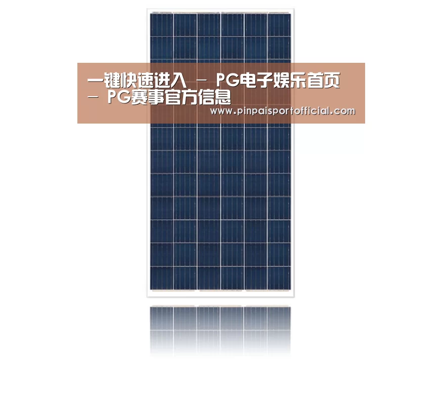 产品名称一