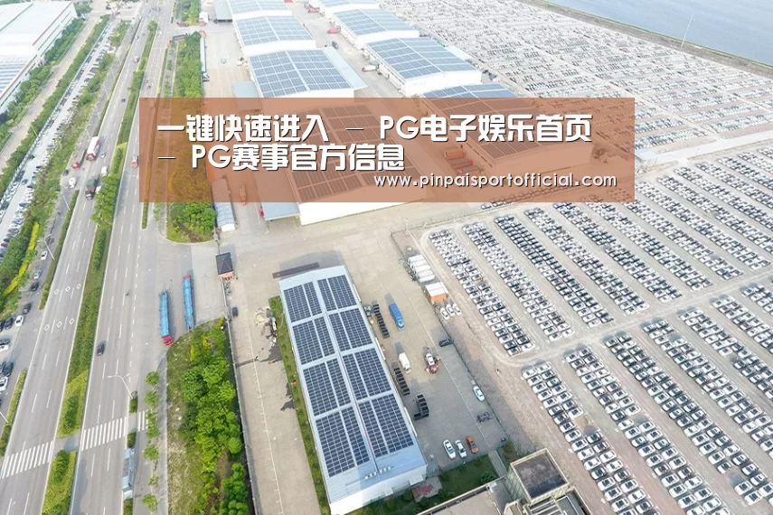 案例展示三