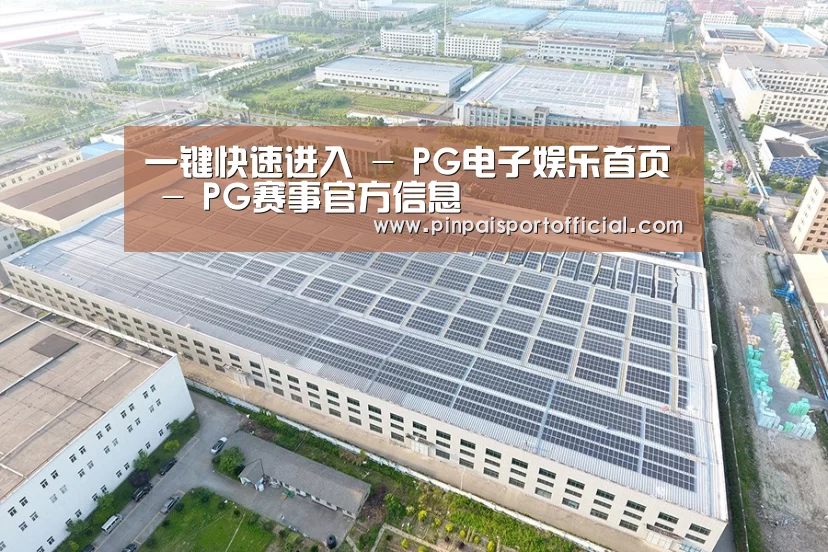 案例展示四