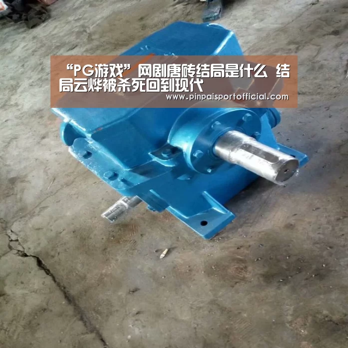 “PG游戏”网剧唐砖结局是什么 结局云烨被杀死回到现代(图2) PG畅玩